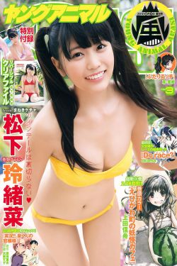 青年警察